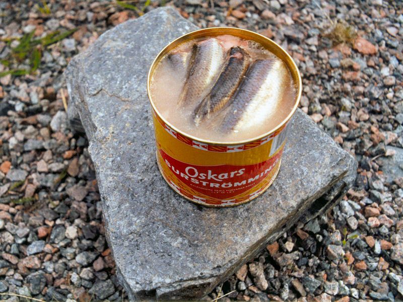 Surströmming (La peor comida del mundo): 4 tipos duros vs una lata…